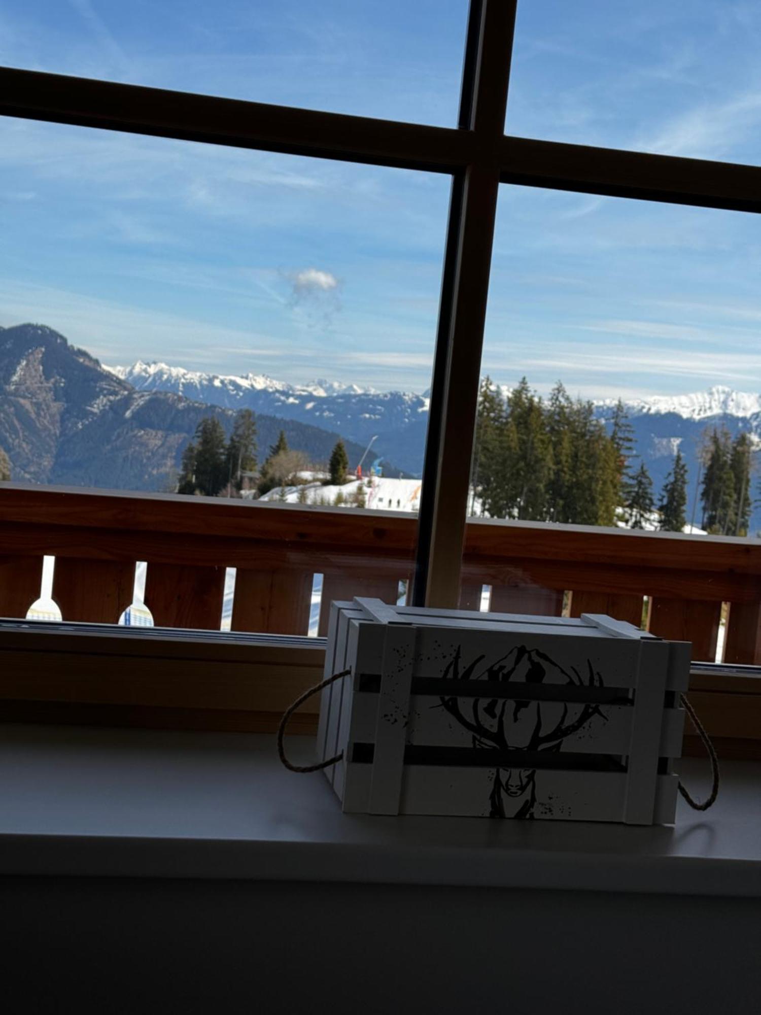 Glockneralm - Exklusiv Erreichbar Mit Skilift Zell am See Dış mekan fotoğraf